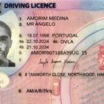 UK Driving Licence,dvla share code